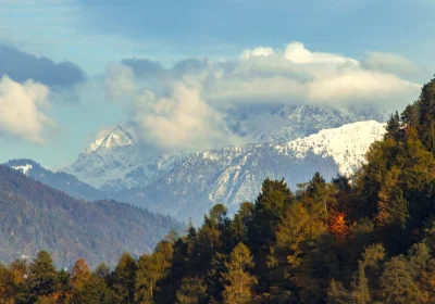 How to Choose the Best Travel Agency in Uttarakhand : What to Check Before You Book