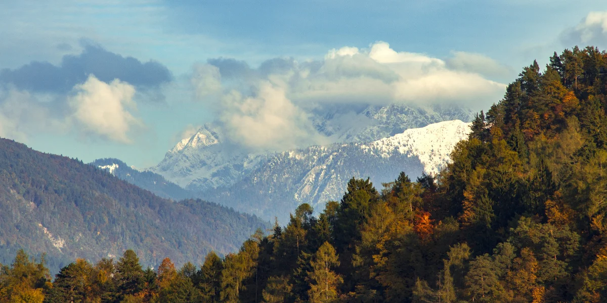 Snow-capped Himalayan peaks with pine forests — plan your Uttarakhand trip with the best travel agency in Uttarakhand